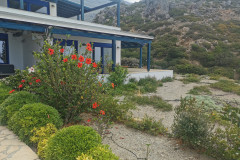 IMG_20230608_112741